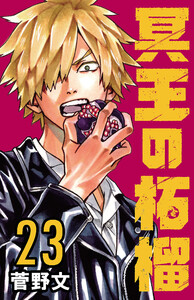 冥王の柘榴(話売り) #23