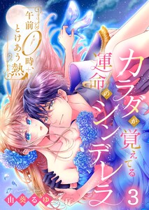 午前0時、とけあう熱～カラダが覚えてる運命のシンデレラ(3) 電子書籍版