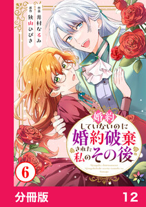 婚約していないのに婚約破棄された私のその後【分冊版】12 電子書籍版