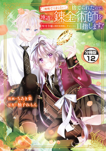 「地味でつまらない」と捨てられたので、地道に錬金術師を目指します!～堅実令嬢は婚約破棄後に幸せになる～ 分冊版 (12) 電子書籍版