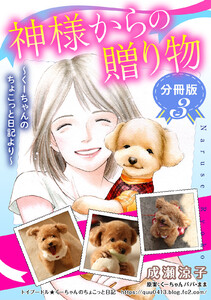 神様からの贈り物~くーちゃんのちょこっと日記より~ 分冊版 (3) 電子書籍版