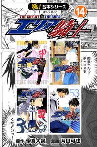 【極!合本シリーズ】 エリアの騎士14巻 電子書籍版