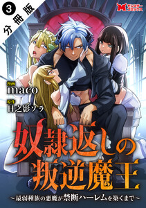 奴隷返しの叛逆魔王 ～最弱種族の悪魔が禁断ハーレムを築くまで～(コミック) 分冊版 : 3 電子書籍版
