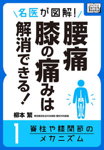 名医が図解! 腰痛・膝の痛みは解消できる! (1) 脊柱や膝関節のメカニズム