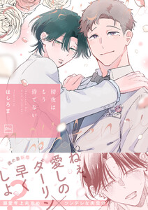 初夜はもう待てない【電子単行本】