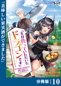 先日救っていただいたドラゴンです【分冊版】(ノヴァコミックス)10
