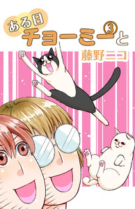 ある日チョーミーと(3) 電子書籍版