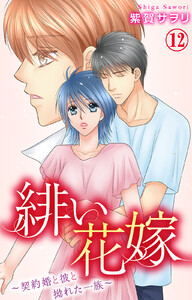 緋い花嫁～契約婚と彼と拗れた一族～ (12)