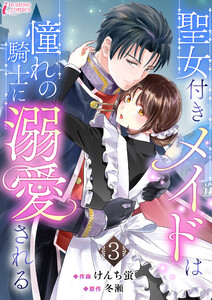 聖女付きメイドは憧れの騎士に溺愛される 3 電子書籍版