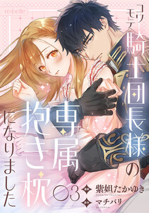 コワモテ騎士団長様の専属抱き枕になりました(3) 電子書籍版