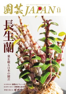 園芸Japan 2026年11月号 電子書籍版