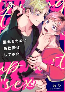 別れるために色仕掛けしてみた(13) 電子書籍版