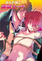 【割引版】「強制エッチ」シリーズ (全巻)