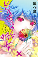 ドメスティックな彼女 (6~10巻セット)